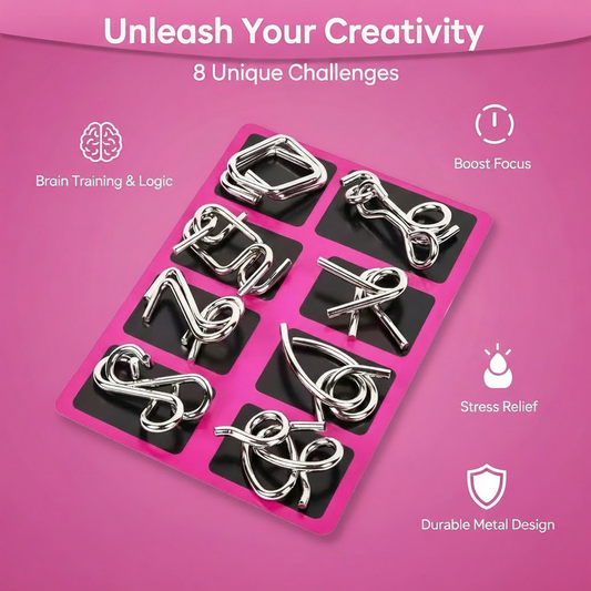 AEXZR® 3D Metal Challenge Puzzle Toy